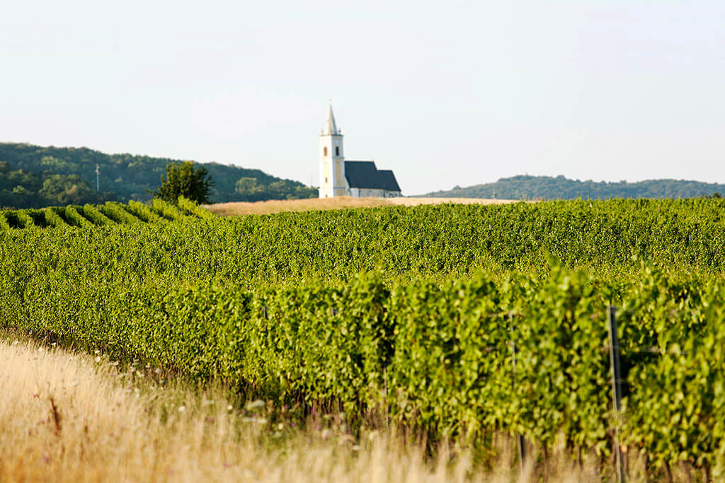 Ried Feldmuehle Weingut Erwin Tinhof